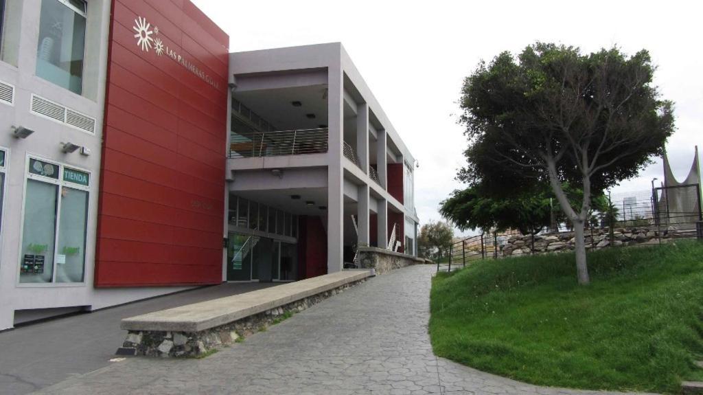 Lala Loft Las Canteras Лас-Пальмас-де-Гран-Канария Экстерьер фото
